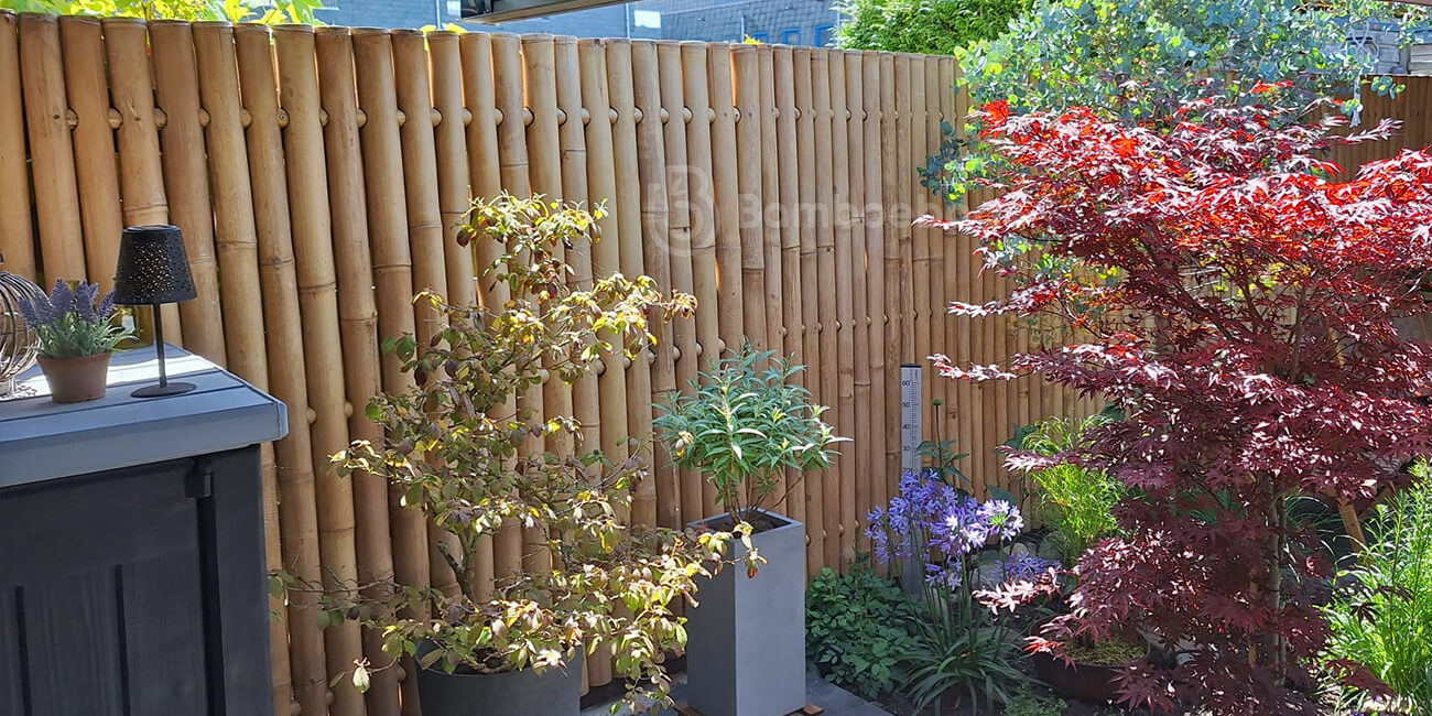 Bamboe schutting Giga Naturel als schutting in de tuin