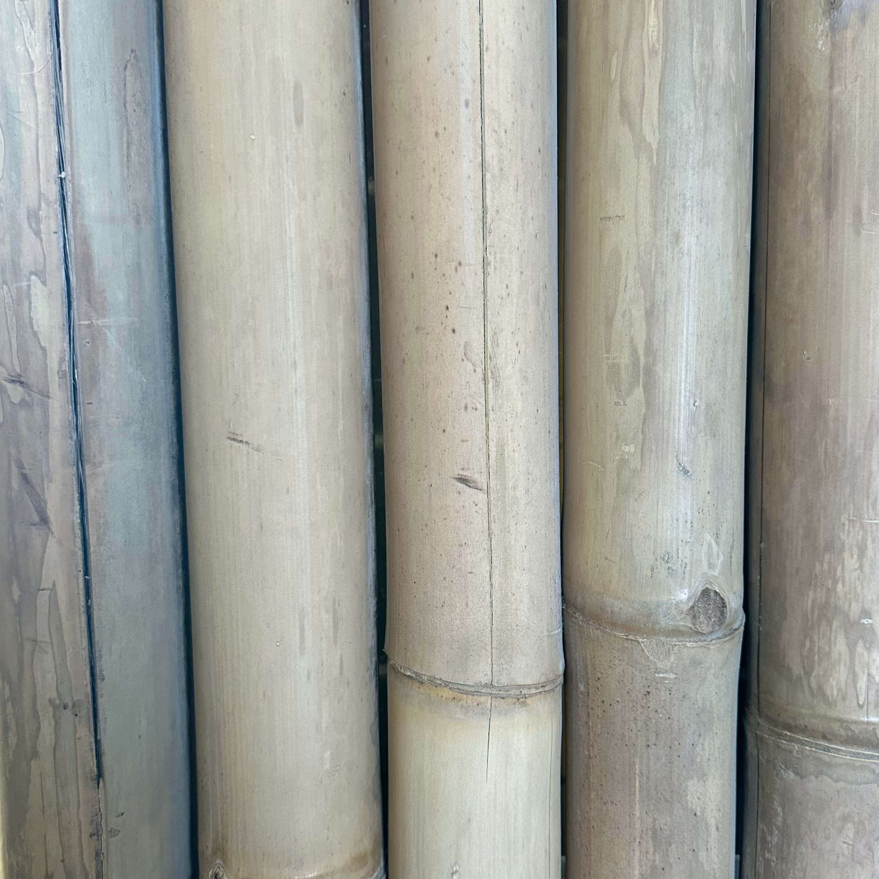 Outlet | Bamboe schutting Giga - Naturel