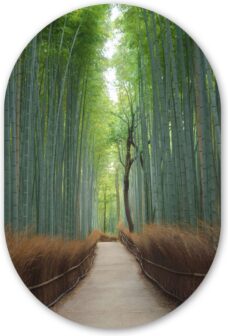 Muurovaal - Kunststof Wanddecoratie - Ovalen Schilderij - Bamboe - Pad - Bos - 40x60 cm - Ovale spiegel vorm op kunststof