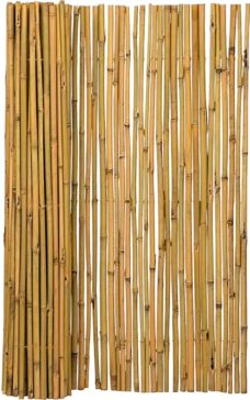 Bamboemat Budget - 180 x 100 cm - Naturel