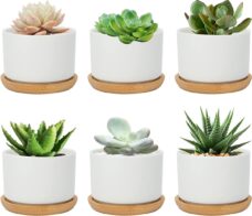 7,5 cm sappige bloempot, kleine ronde plantenbak in eenvoudig ontwerp, witte keramische cactus bloempot met bamboe plaat en afvoergat, set van 6