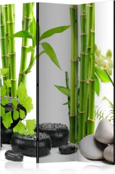 Kamerscherm - Scheidingswand - Vouwscherm - Bamboos and Stones [Room Dividers] 135x172 - Artgeist Vouwscherm