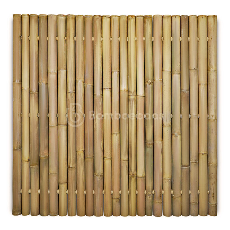 Bamboescherm Giga - Naturel - 180x180 cm